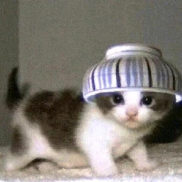 酸条鱼