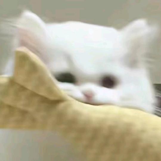 等待冬日烟火