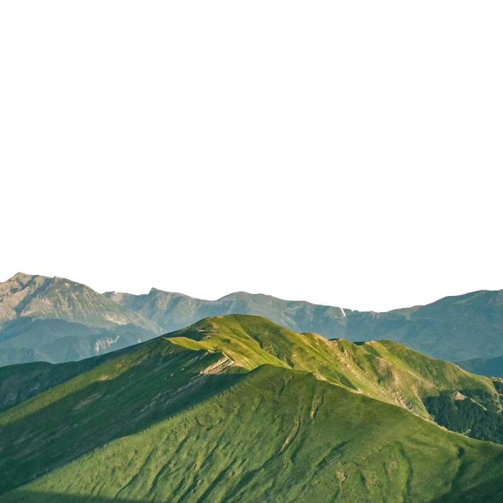 🏕在露上🏕