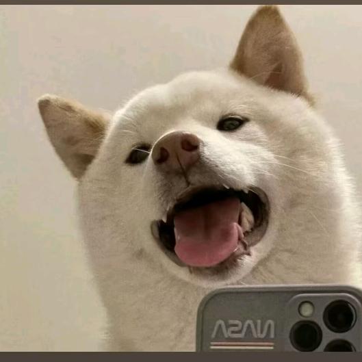 老张经营部