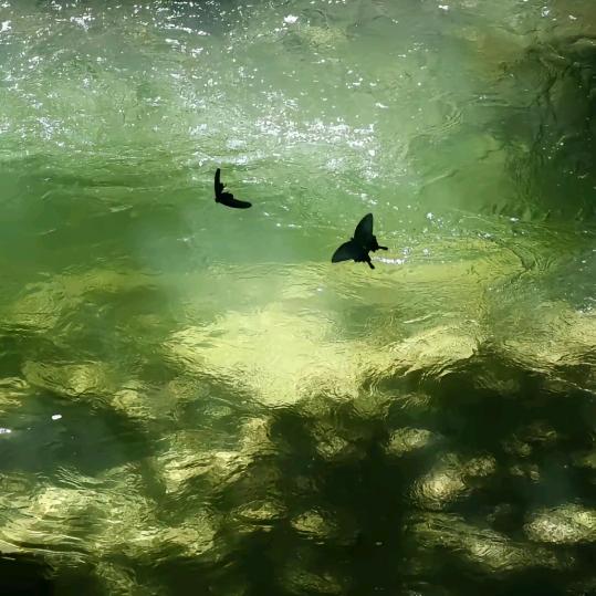 屎到淋头还要搅便