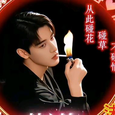 心甘情愿《鸿雁》