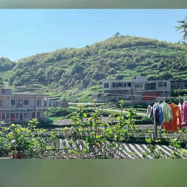 听云贵山歌爱好者