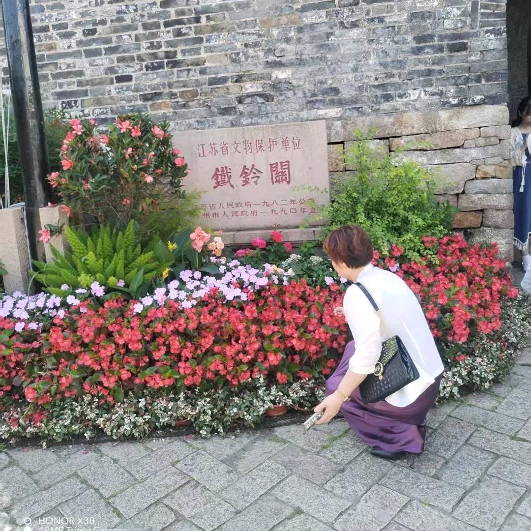雨落心尘