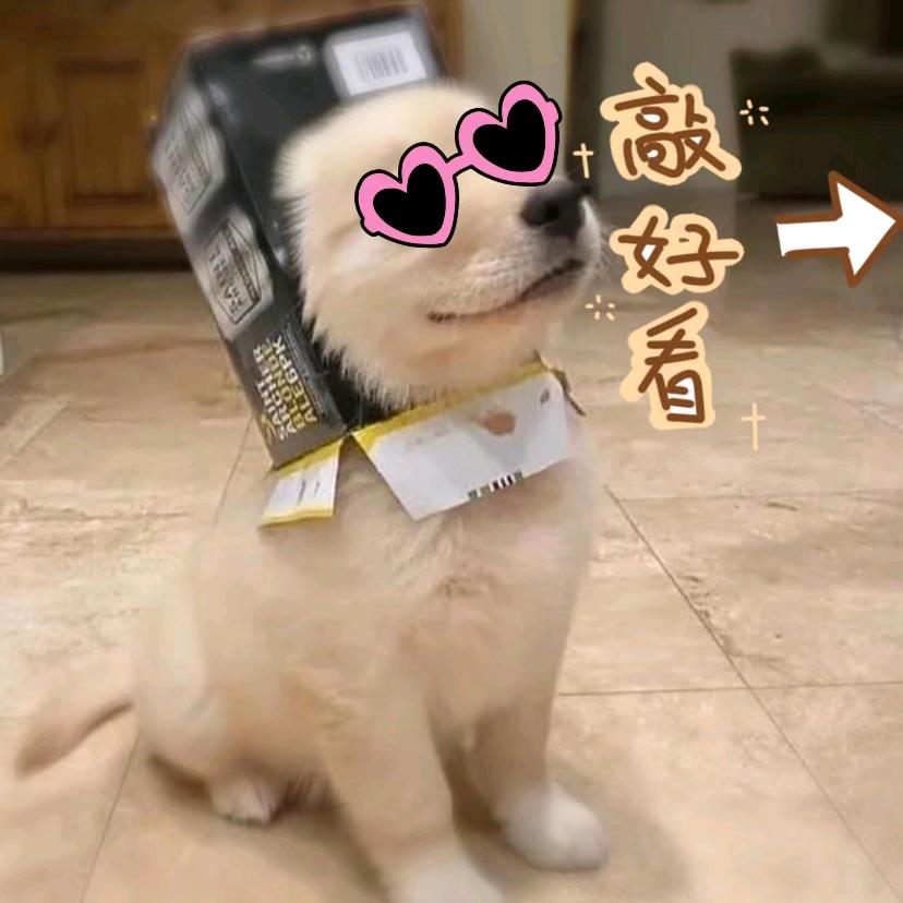 爱看👀剧场