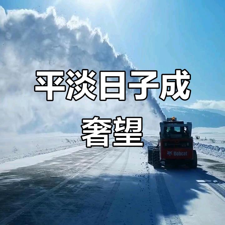 人生苦短