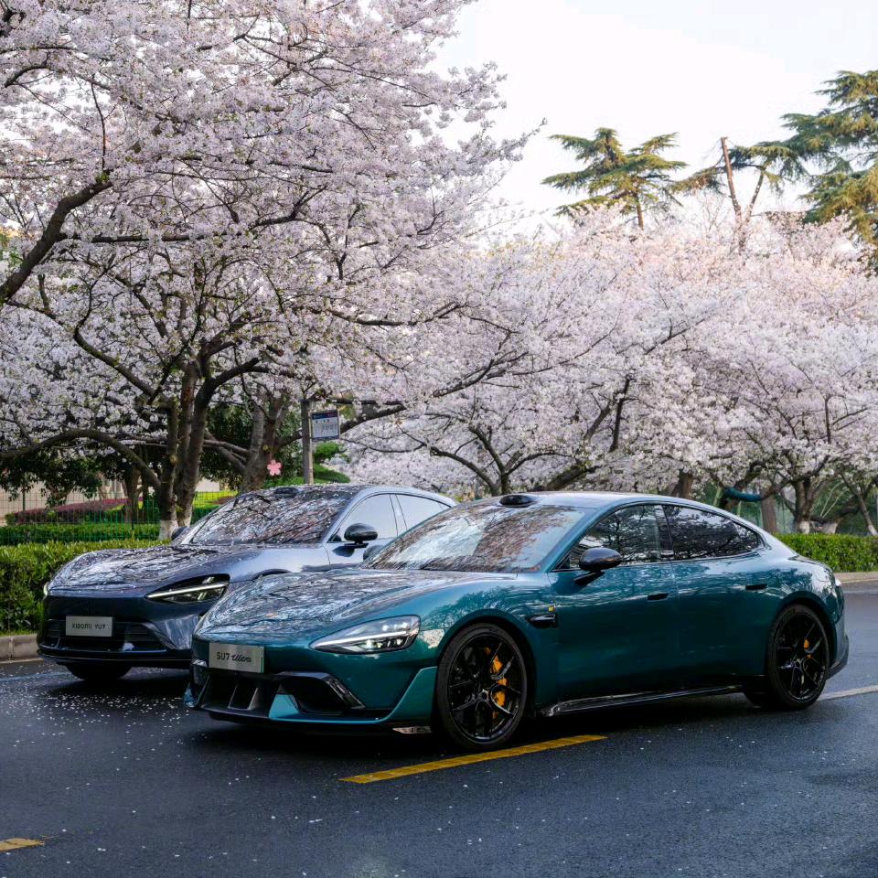 若麒