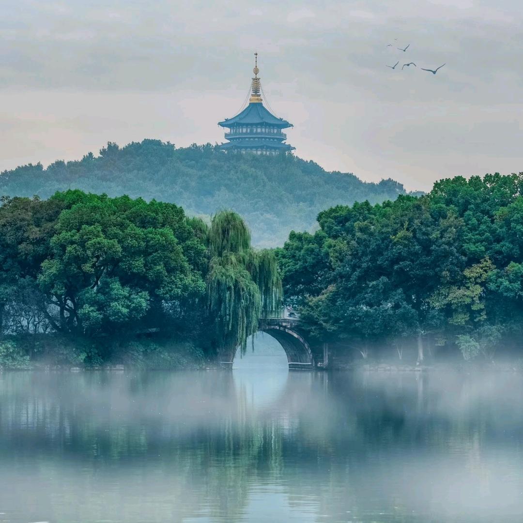 粤阳高肇
