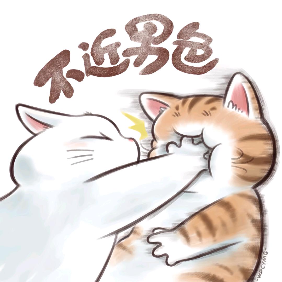 ๓止于你°ꦿོོ