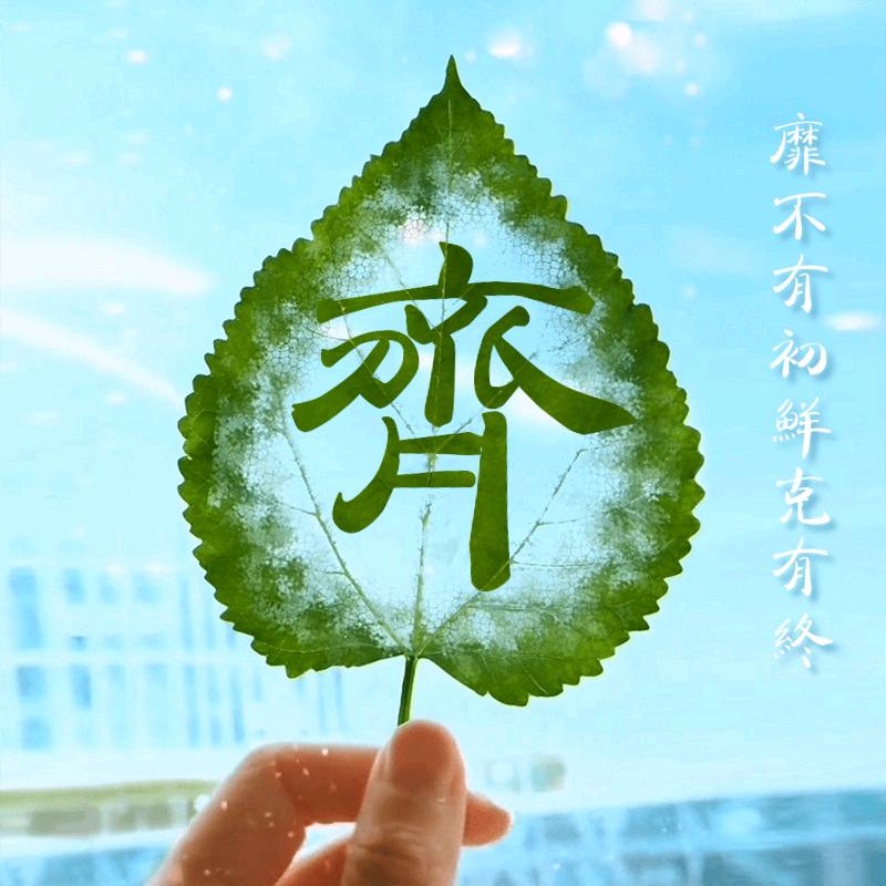 齊天大圣de齊