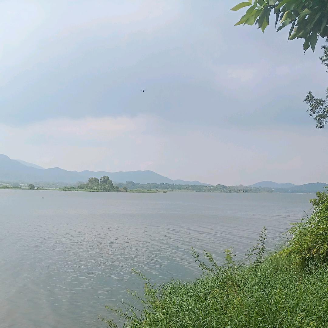 岩言闫袁