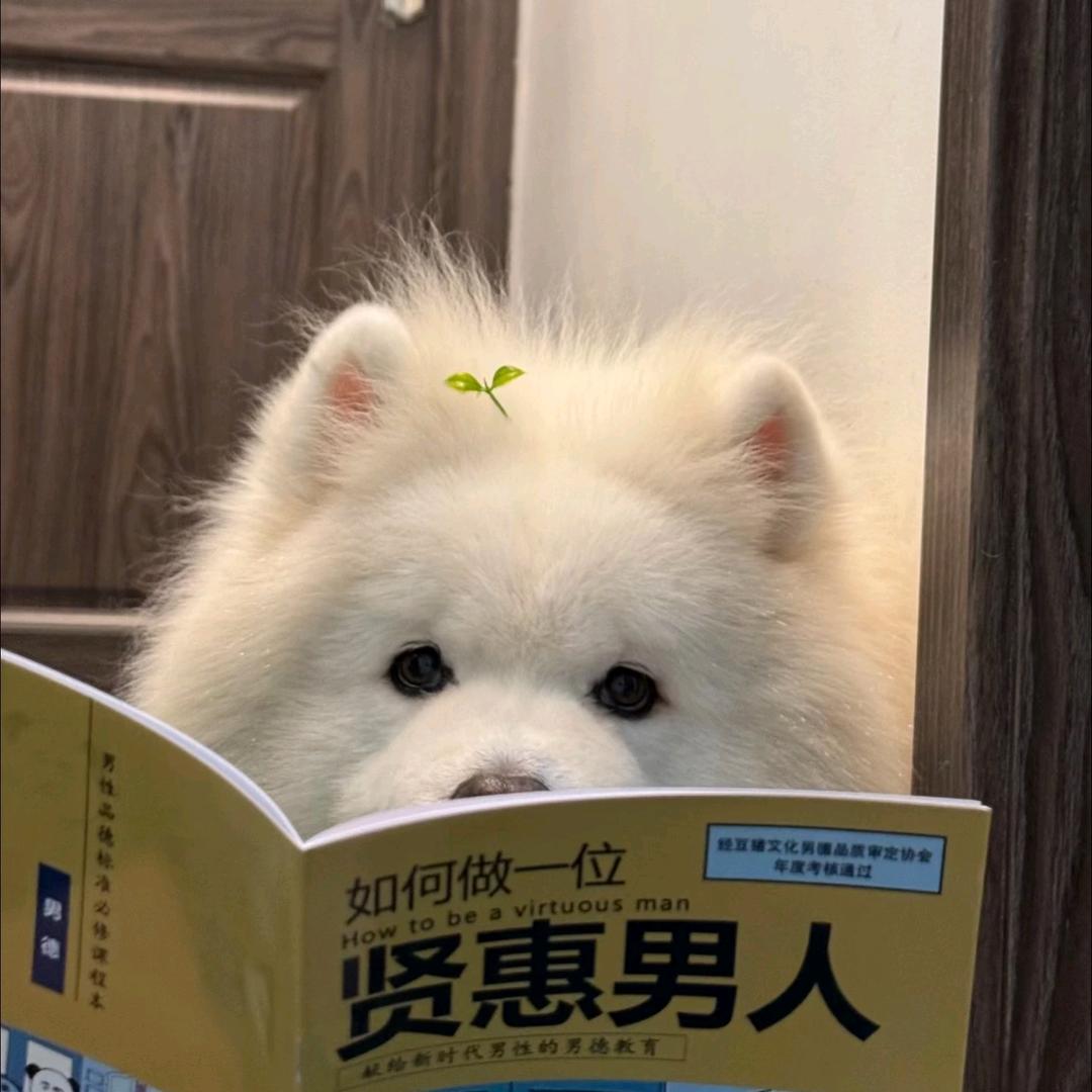 噢吼