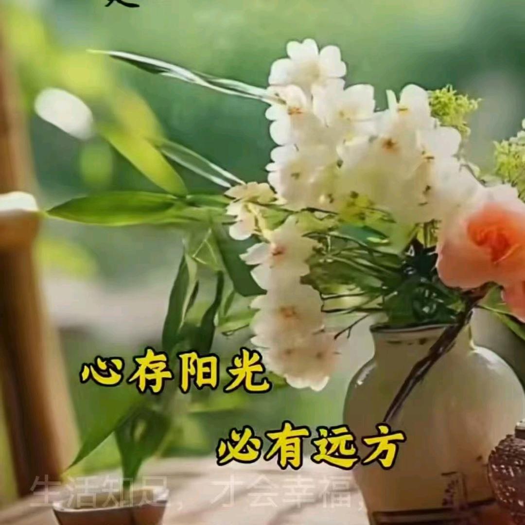 黄主任康养