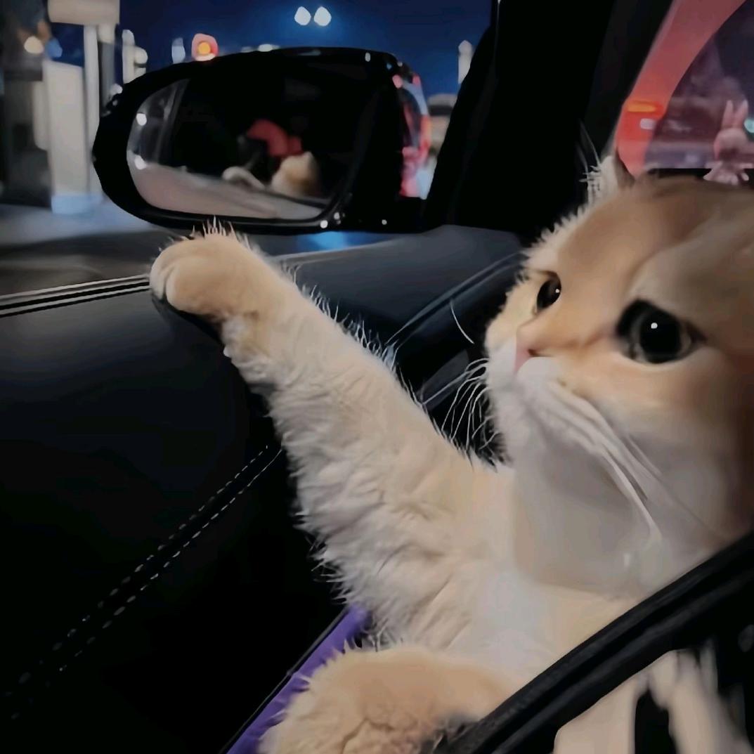 辻弎（减肉肉）