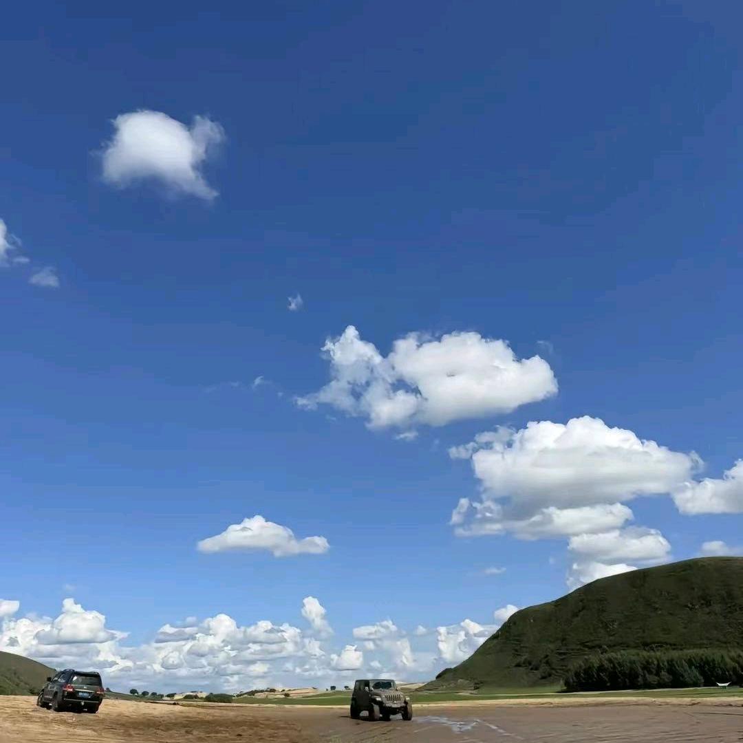 奔跑的丸子