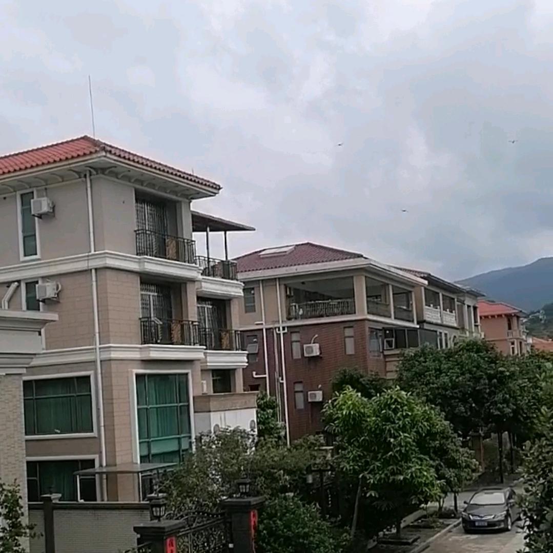 清青e