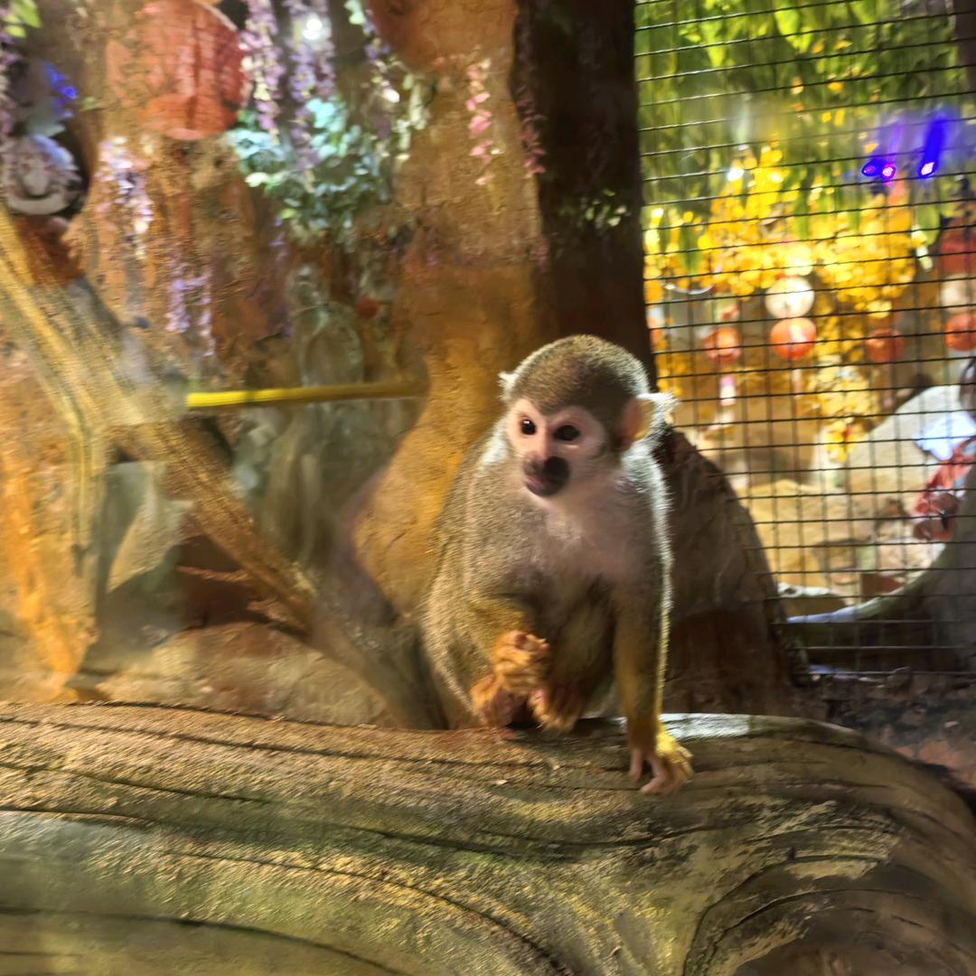 星期八的下午😘 😘 😘