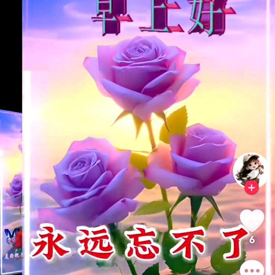 朋友你好
