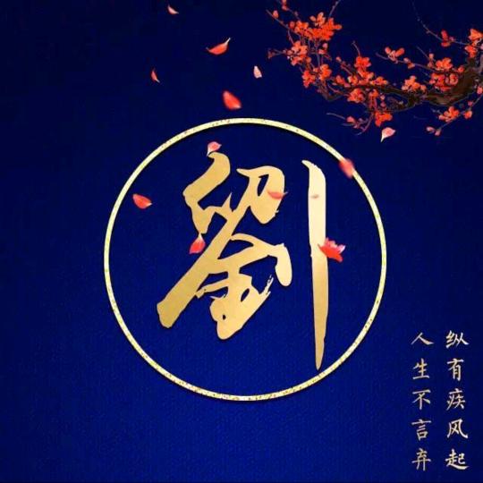 龙哥.
