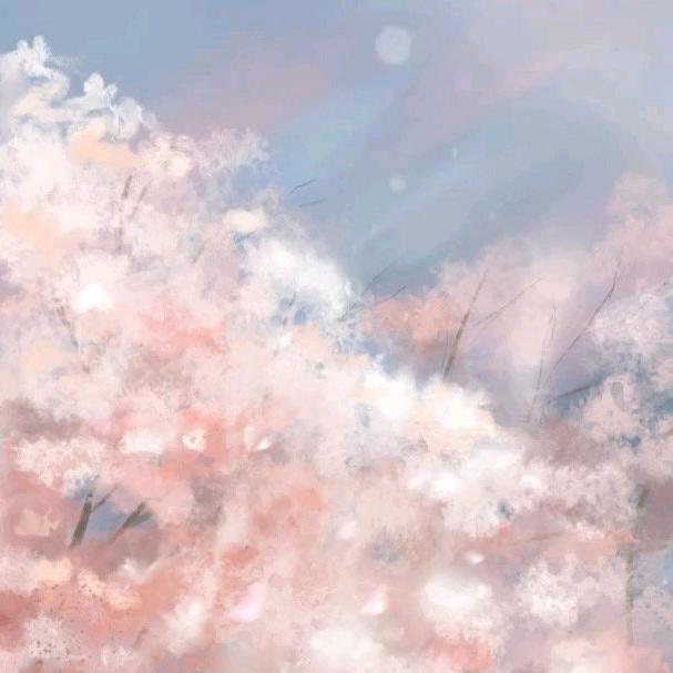 星星碎片
