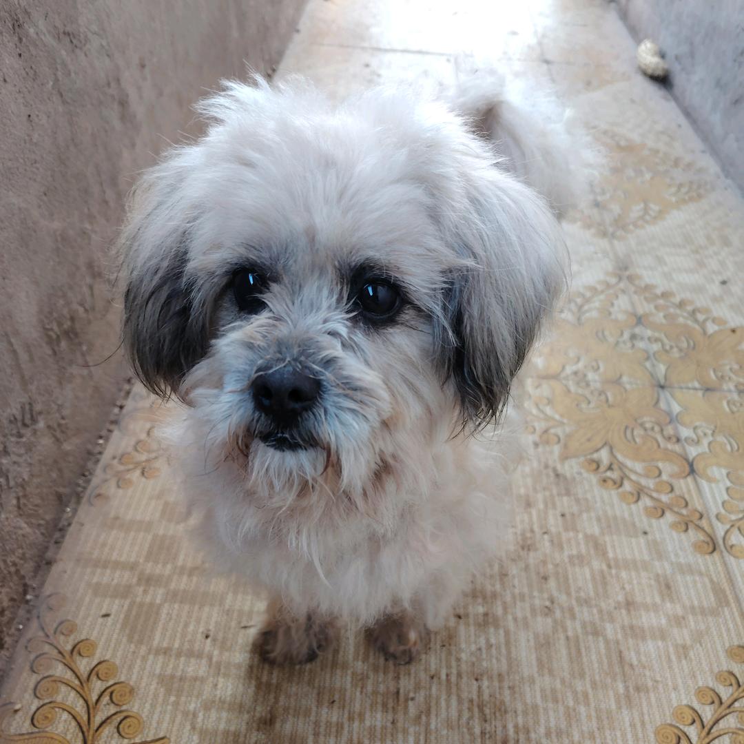 ૮₍˶ᵔᵕᵔ˶₎ა完美人生ლ(|||⌒ε