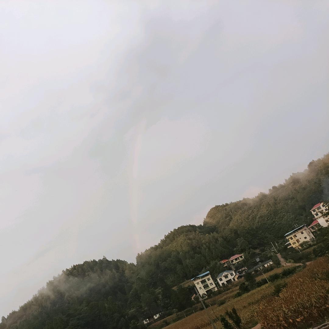 风过无痕