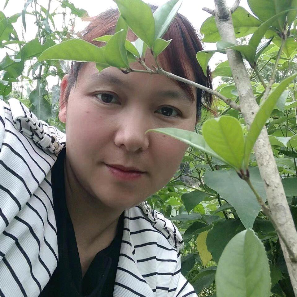 🍀🌹🍀芙蓉🍀🌹🍀