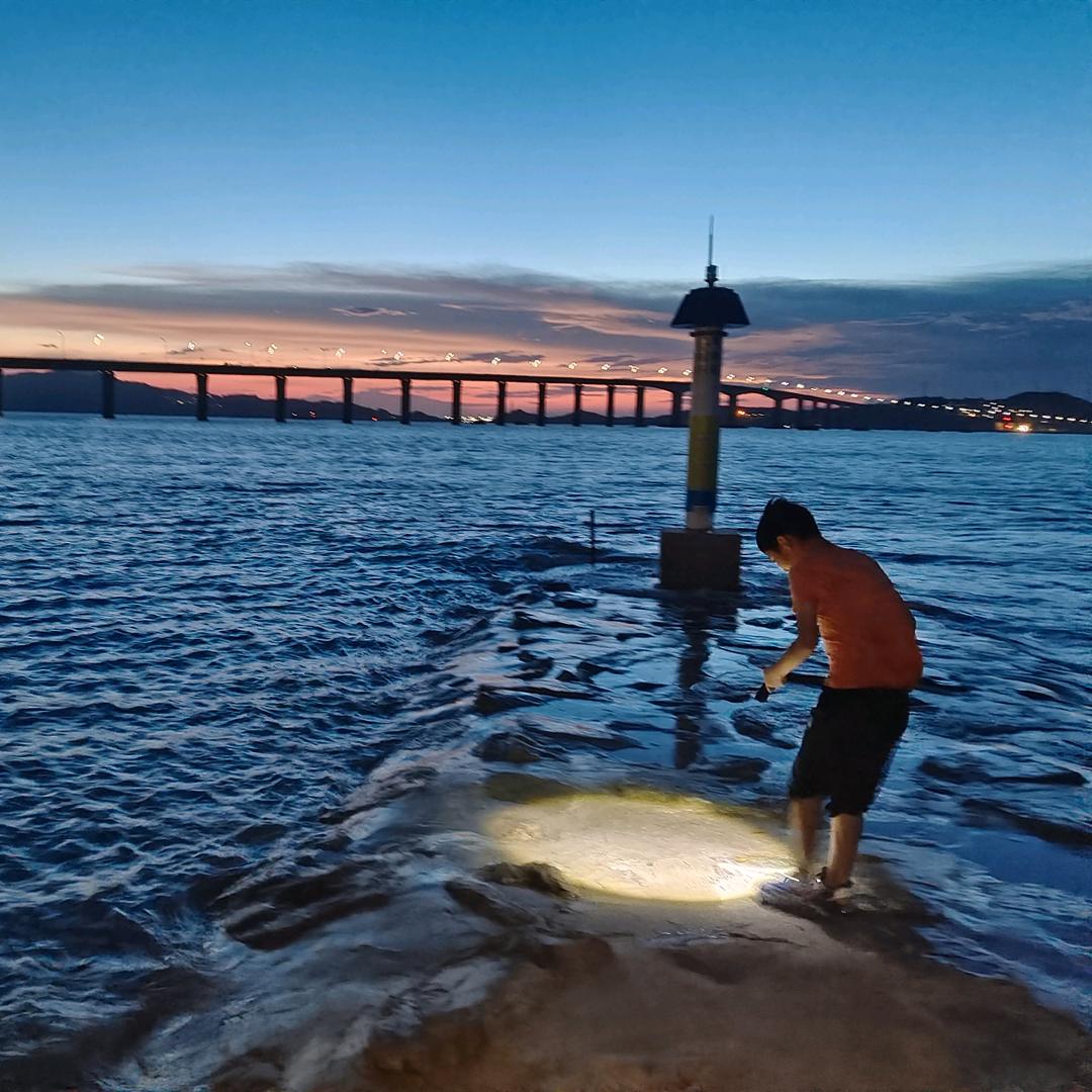 🌿醉梦人生🌿