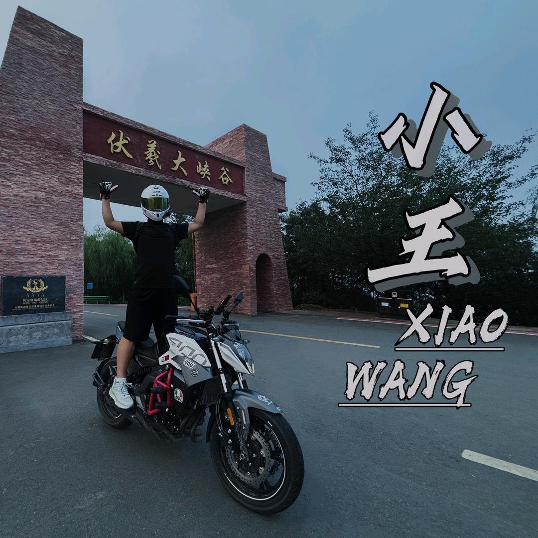 不会压弯的小王
