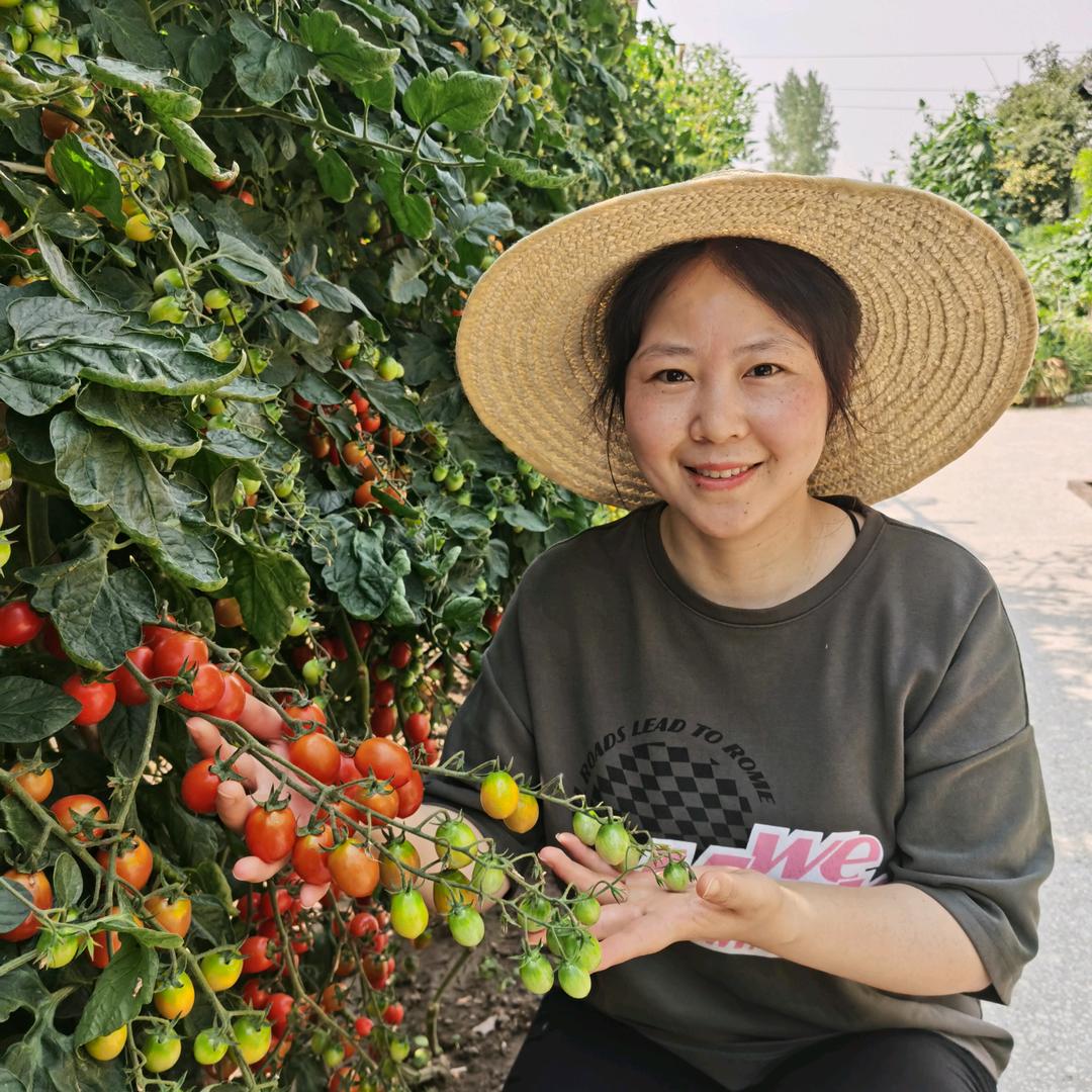 小杨爱三农
