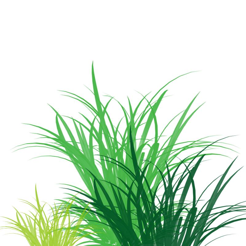小野草优品