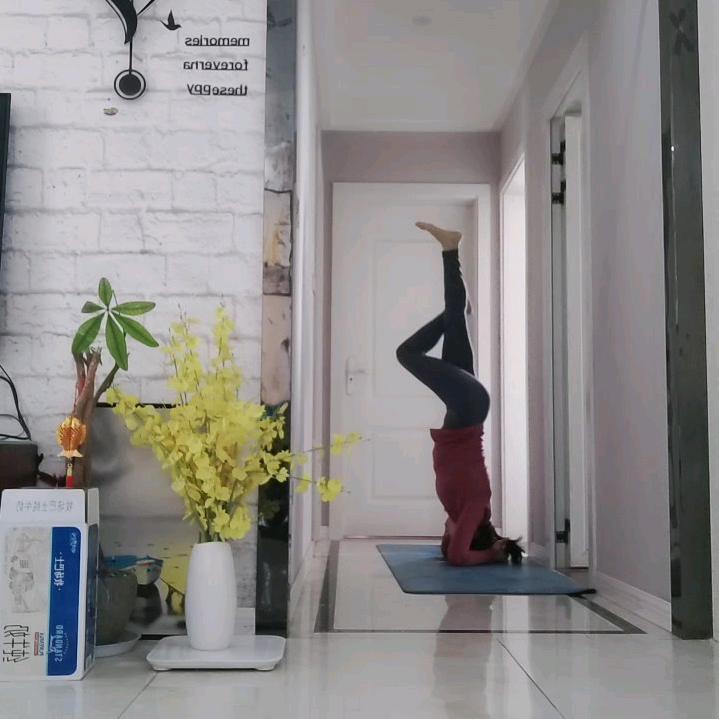 美好的未来。<瑜伽爱好者>