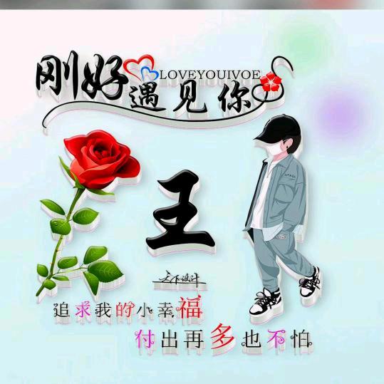 漂泊的游子