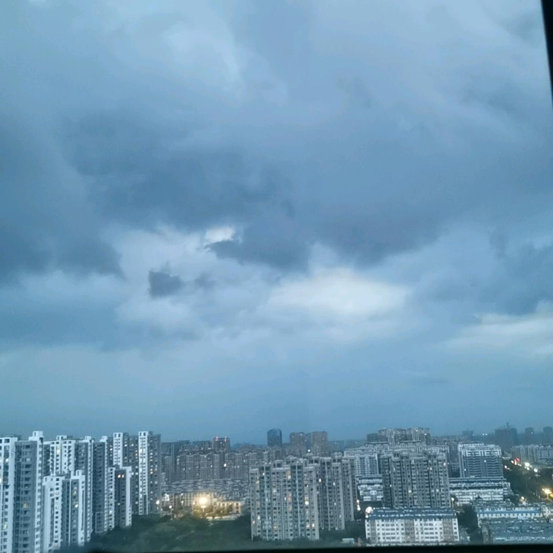 ¥¥卷毛火龙果🍎