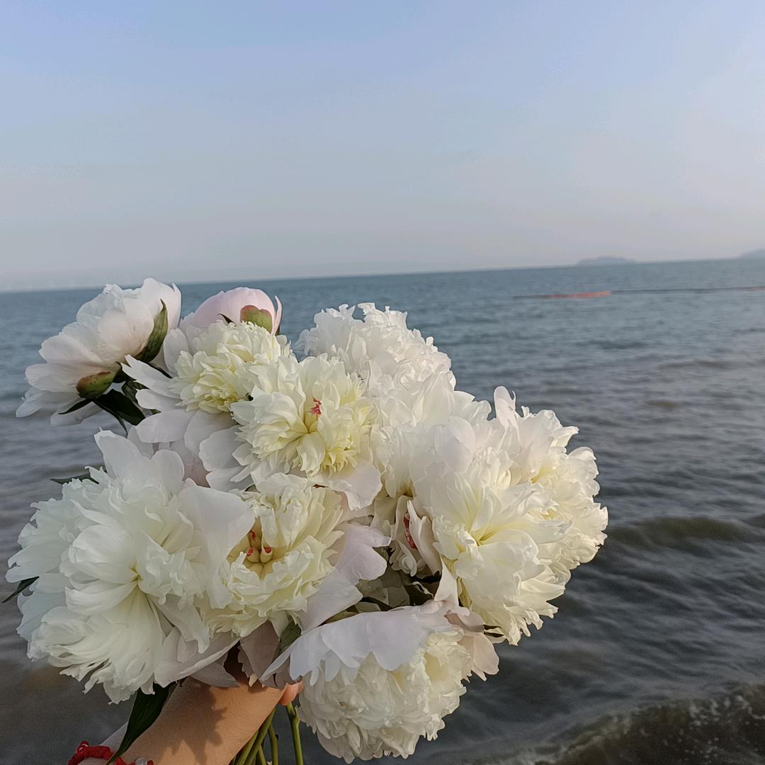 摆烂的咸鱼（外卖版）