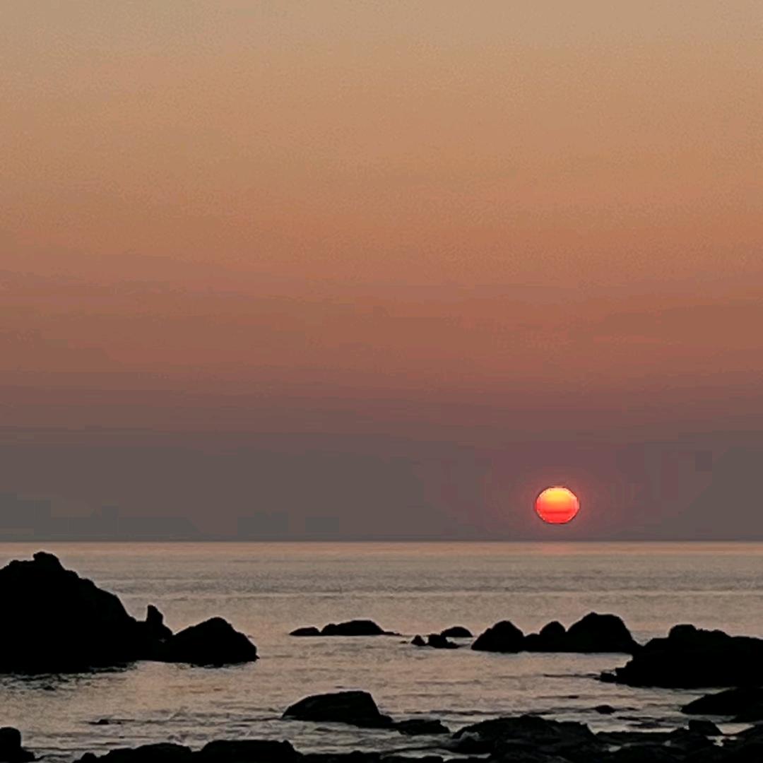 茶🍵与咖啡☕️