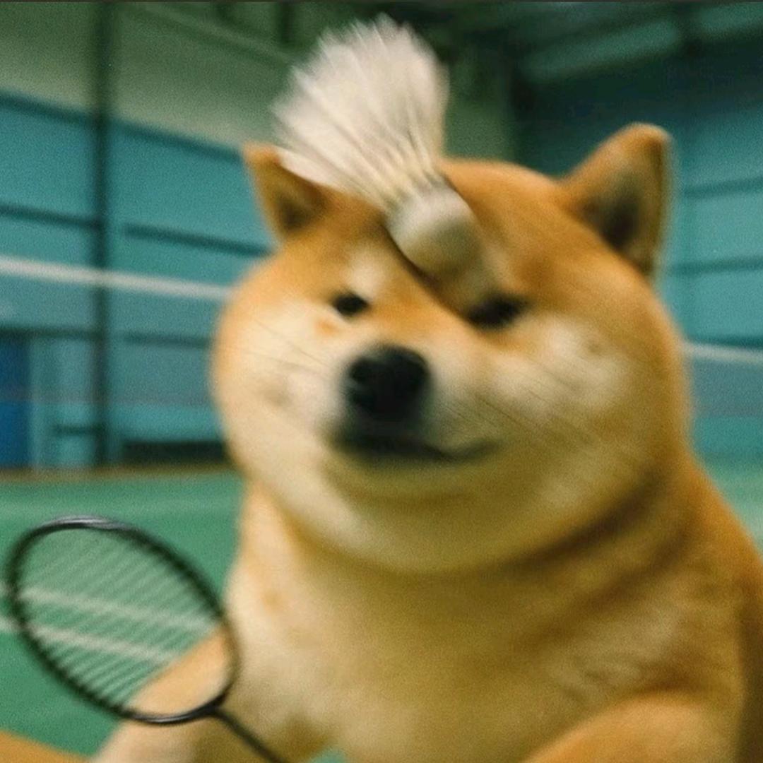 .。