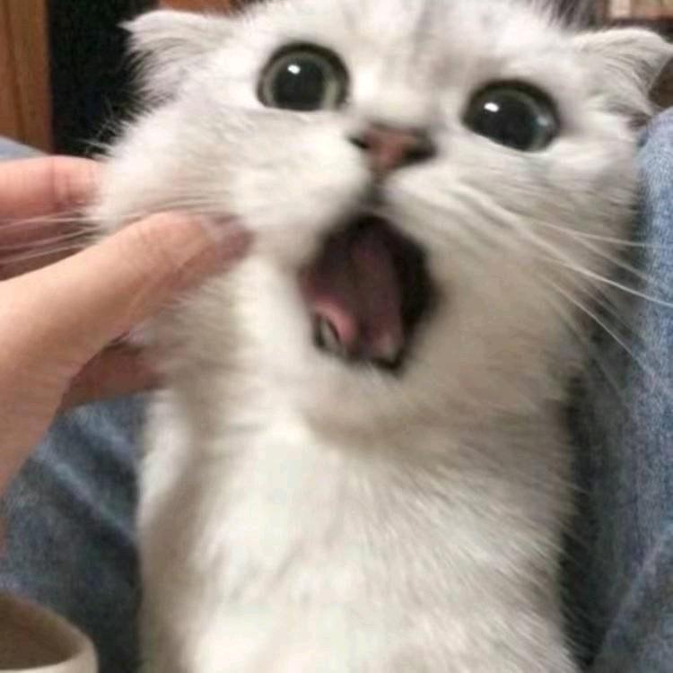 Aaa.顾可