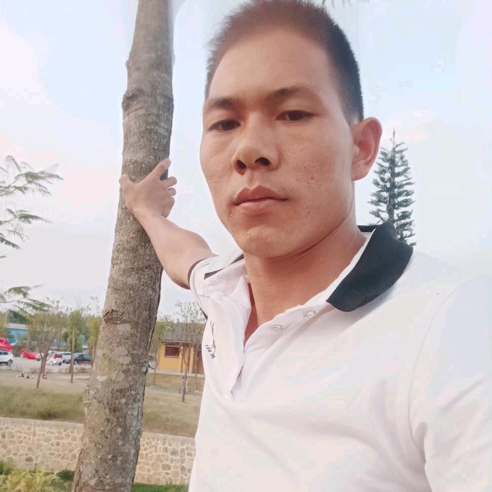 小杨哥。