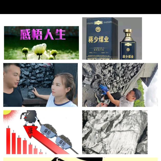 蒋少煤业