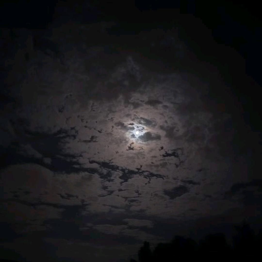 酒肆中