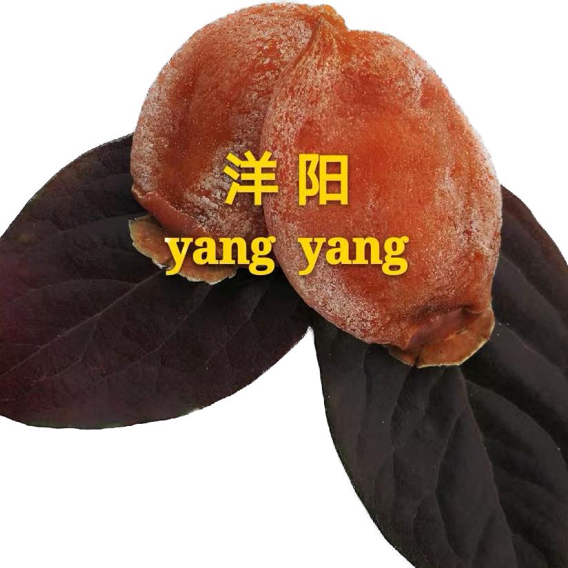 洋阳陕西洋阳智慧农业发展有限公司食品专卖店