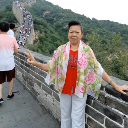 娣姐