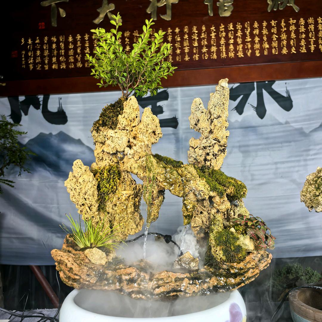 弥勒市臣东花卉（吸水石）