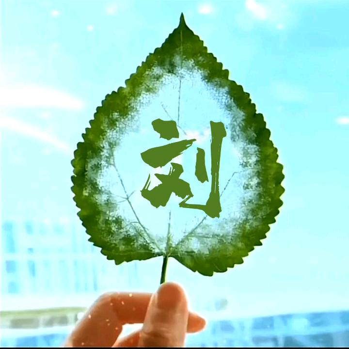 🌸🌱我心依然☘