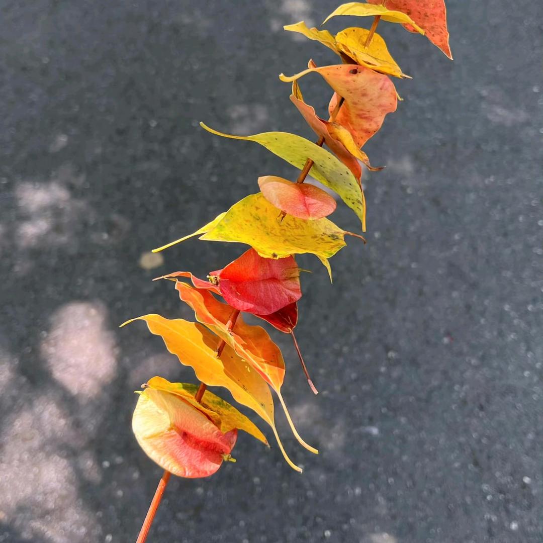 靠谱好物站