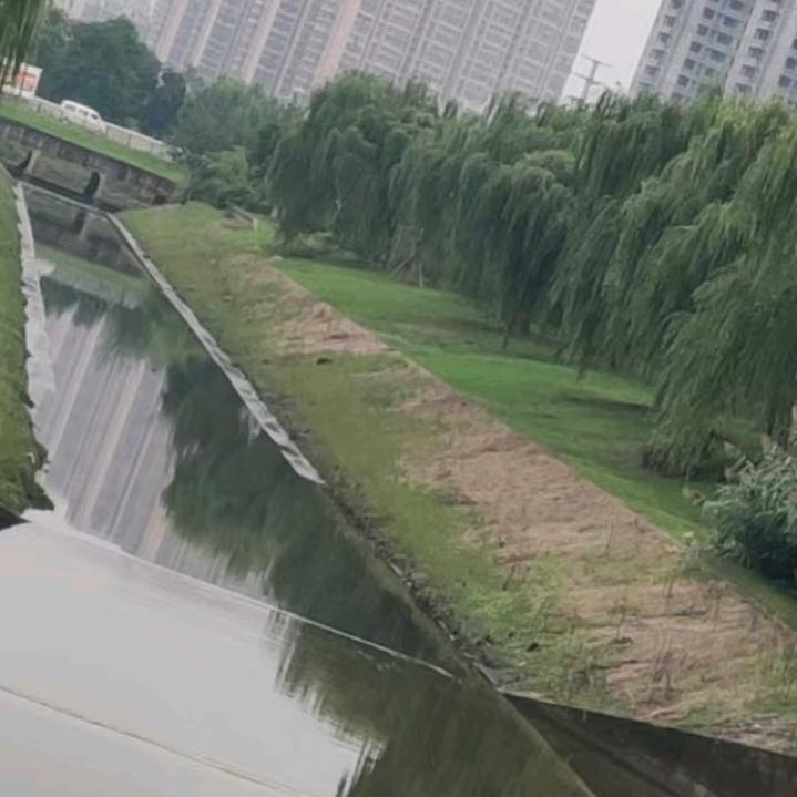 漂泊的风雨