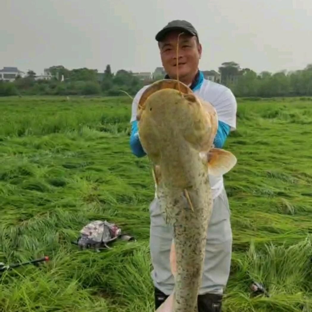 周哥不打龟
