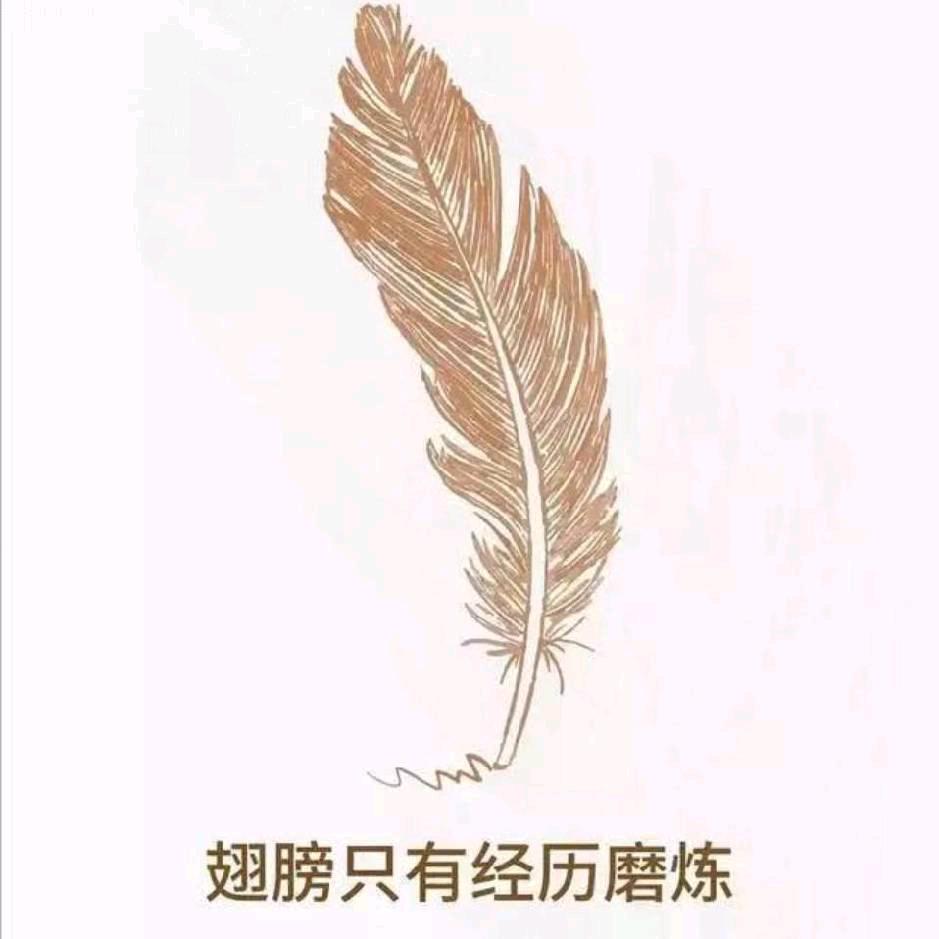 大明白