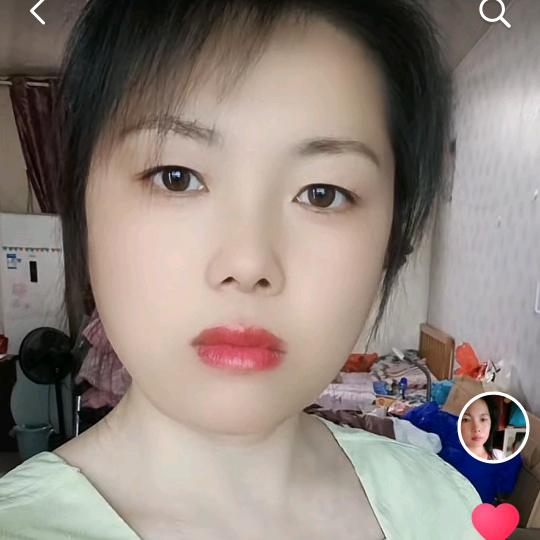 向来缘浅，奈何情深